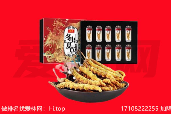 甘孜州理塘回收虫草.jpg